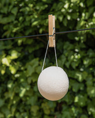 Konjac Sponge