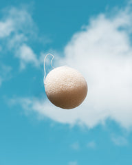 Konjac Sponge