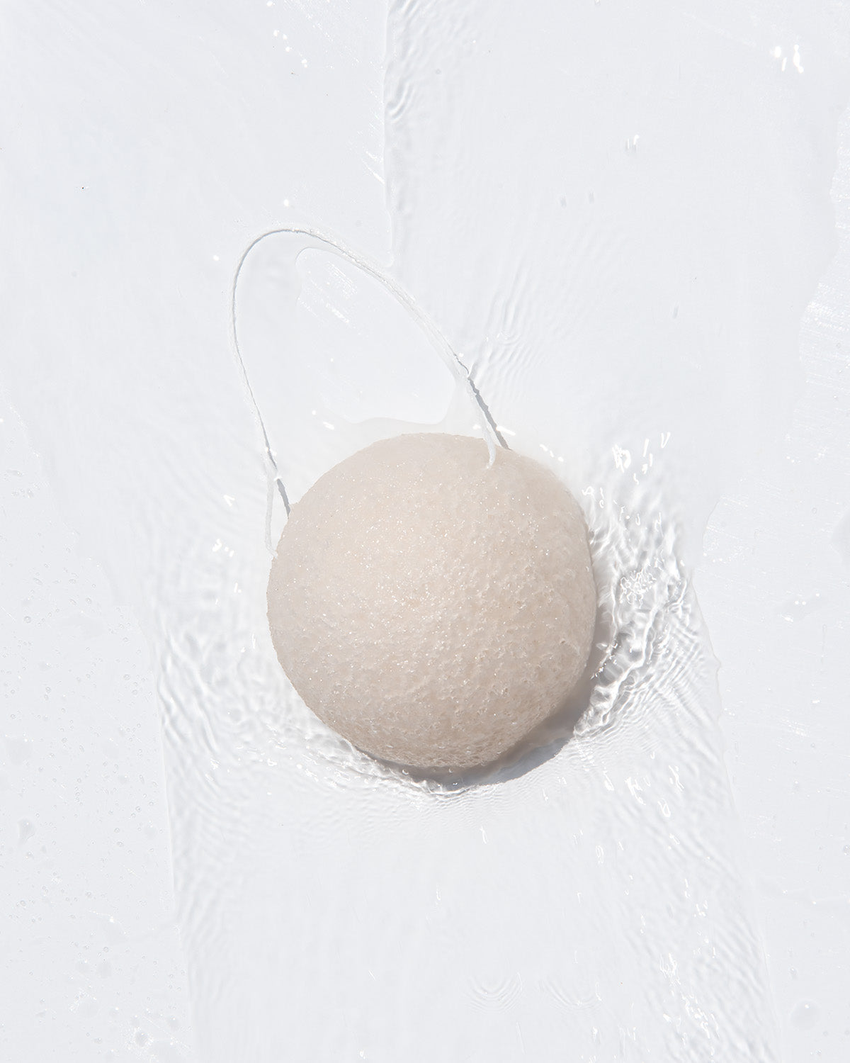 Konjac Sponge