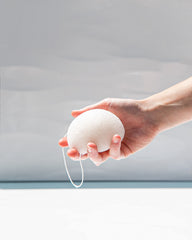 Konjac Sponge