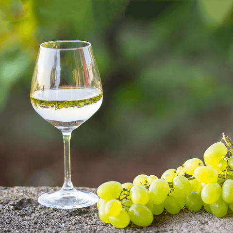 white wine in wine glass next to white grapes in garden setting