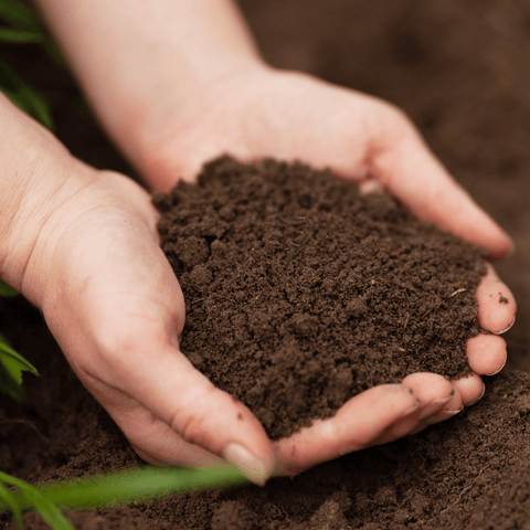 handful of nutritional dirt