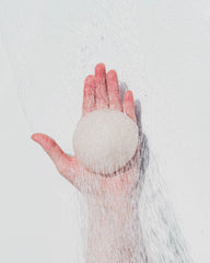 Konjac Sponge