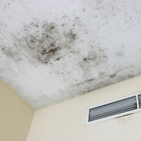 roof filled with black mold stains