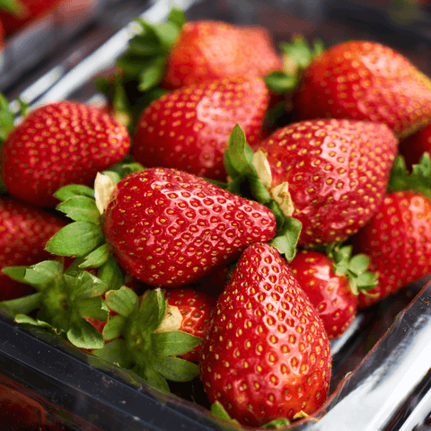 freshly harvested strawberries in plastic container